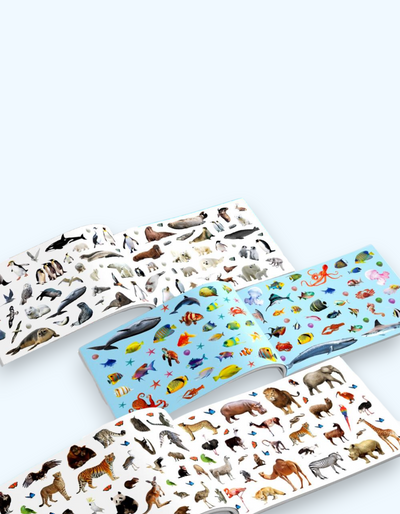 BukvaLand albomi 250 stiker