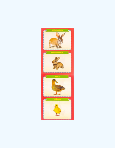 BukvaLand o'quv kitoblari to'plami "Birgalikda o'samiz", 8 dona