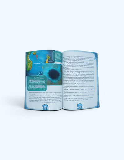 Книга "Adventures of the Spirit of the Time 4"