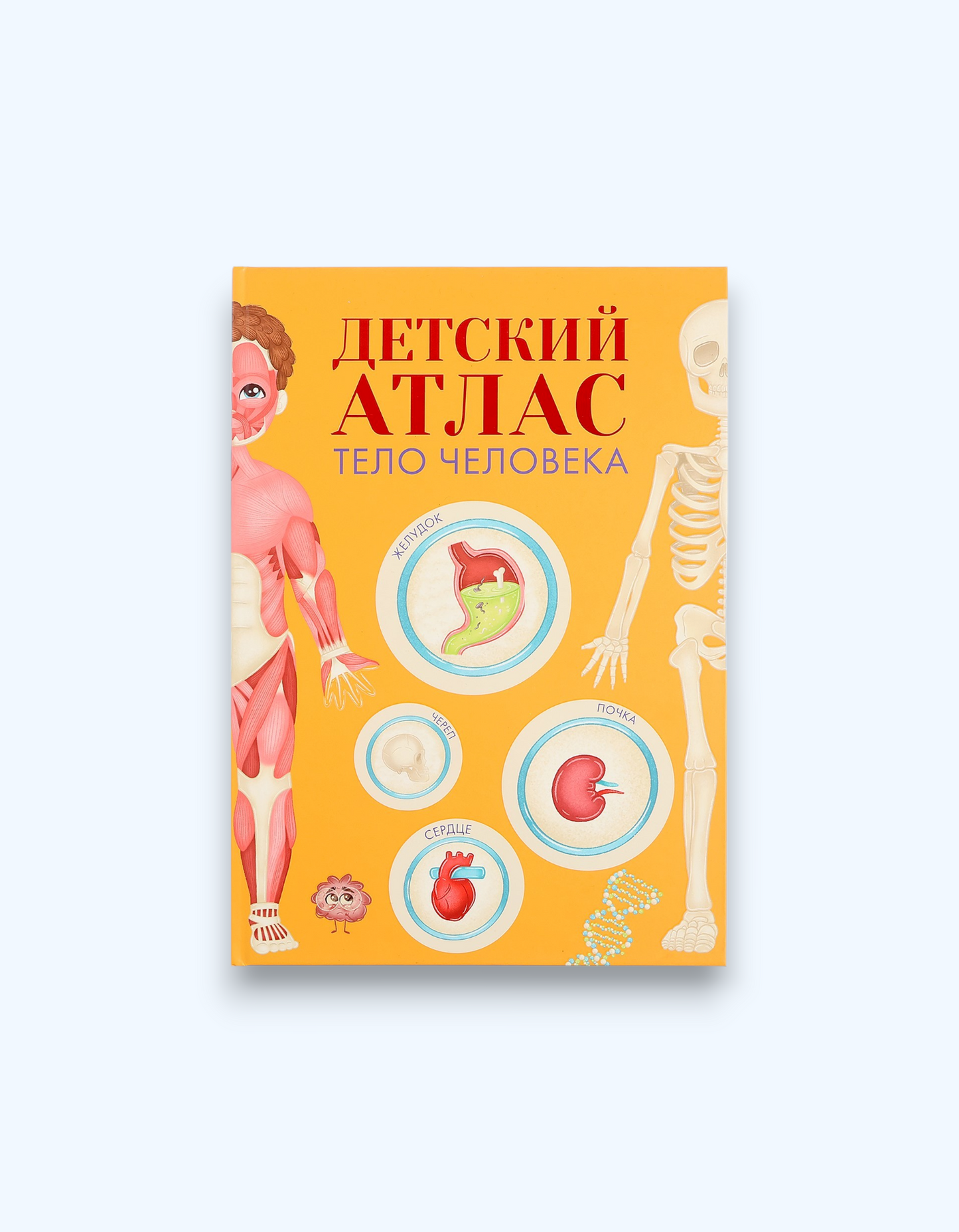 Проф-пресс Книга "Детский Атлас: Тело человека"