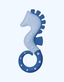 Tish go'shti uchun Nuk Teether Seahorse sovutish, 3+ oy.