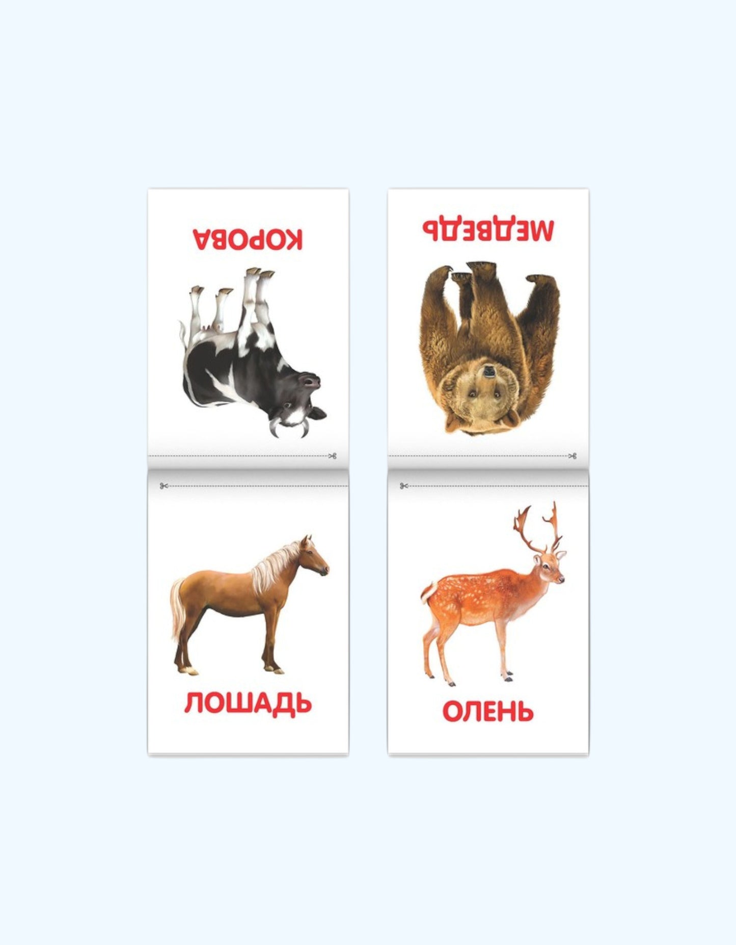БукваЛенд Набор книг "Карточки Домана"