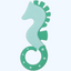 Tish go'shti uchun Nuk Teether Seahorse sovutish, 3+ oy.